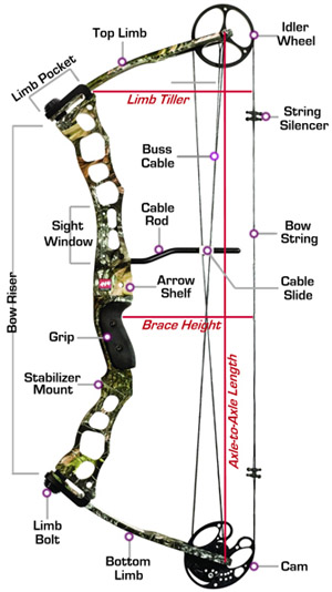 Best Compound Bows of 2016 - Selection Guide and Reviews