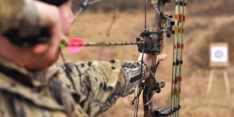 best compound bow reviews