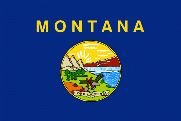 Montana State Knife Laws