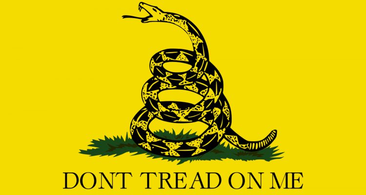 dont-tread-on-me-meaning-flag