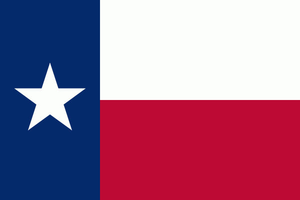 texas state knife laws